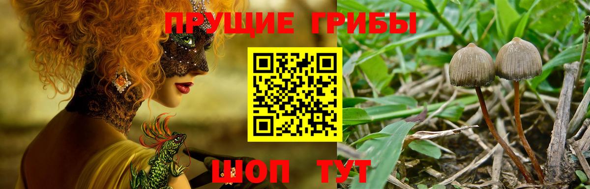 хочу наркоту  Вход с VPN  Усолье-Сибирское  Галлюциногенные грибы мицелий 
